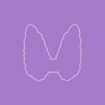 چکاپ تیروئید