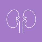 چکاپ کلیه و مجاری ادراری