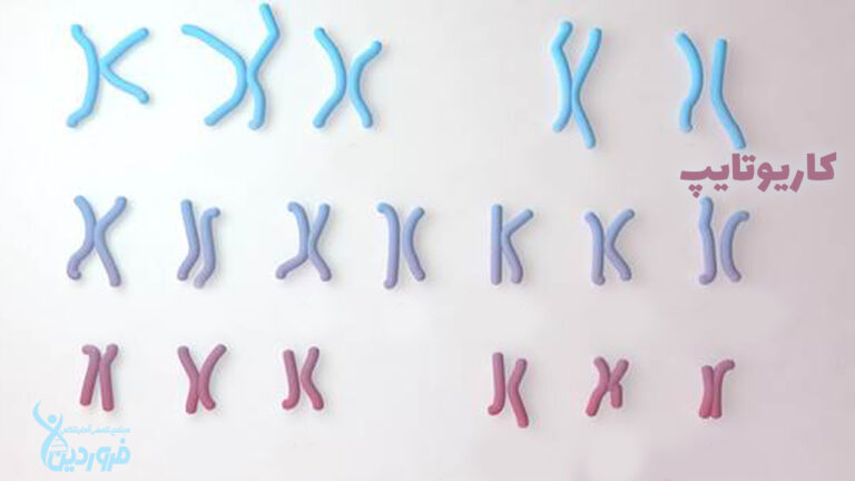 کاریوتایپ آزمایشگاه فروردین