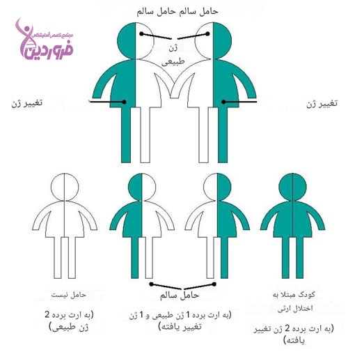 ژن معیوب و ازدواج فامیلی