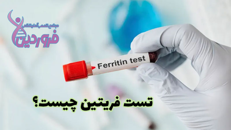 آزمایش فریتین چیست؟