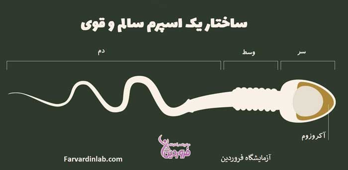 عکس آزمایش اسپرم قوی