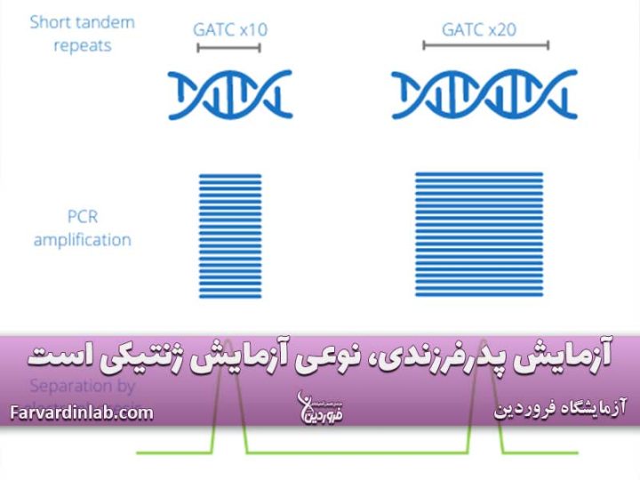 آزمایش ژنتیک پدرفرزندی