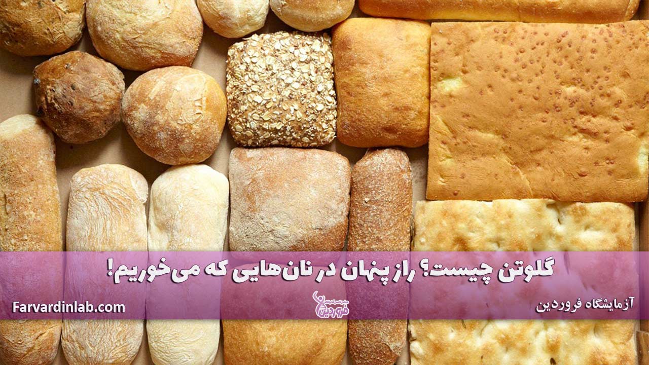 گلوتن چیست