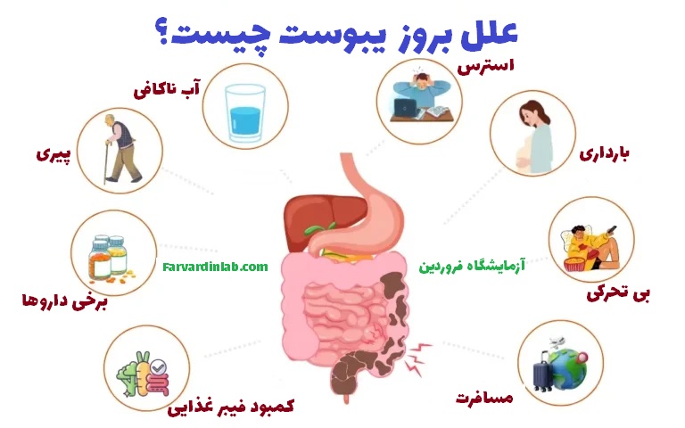 چرا یبوست داریم