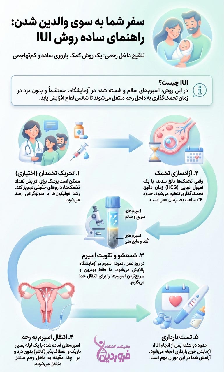 روش بارداری آی یو آی