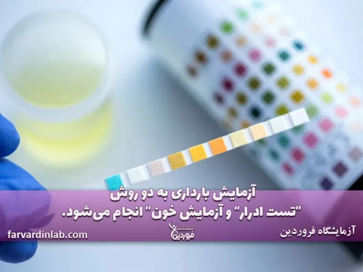 بهترین روش تست بارداری