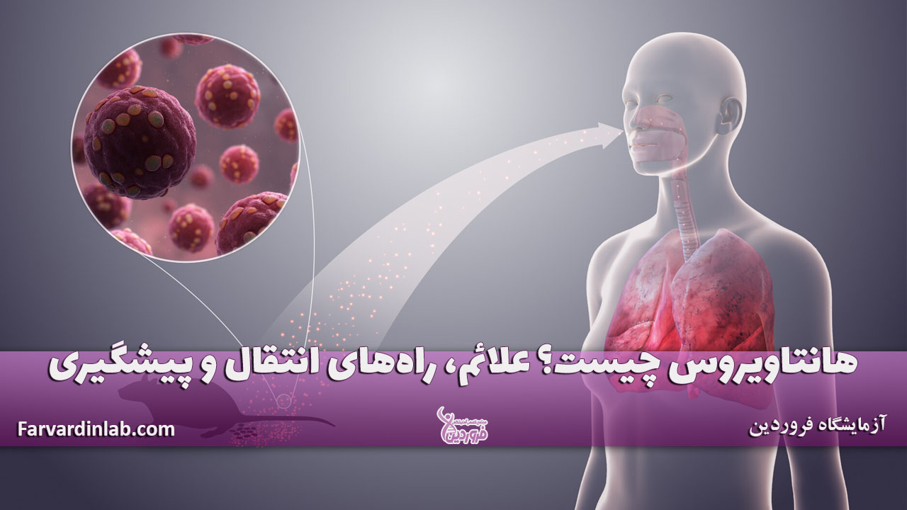 هانتاویروس چگونه منتقل میشود