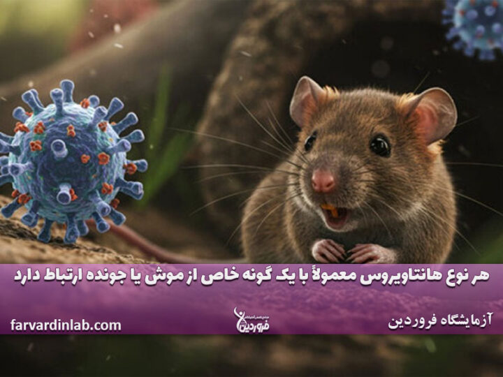 واکسن هانتا ویروس