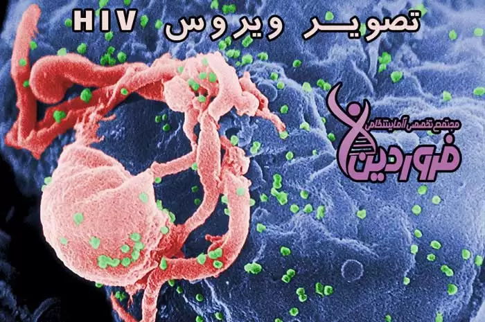 عکس ویروس اچ آی وی