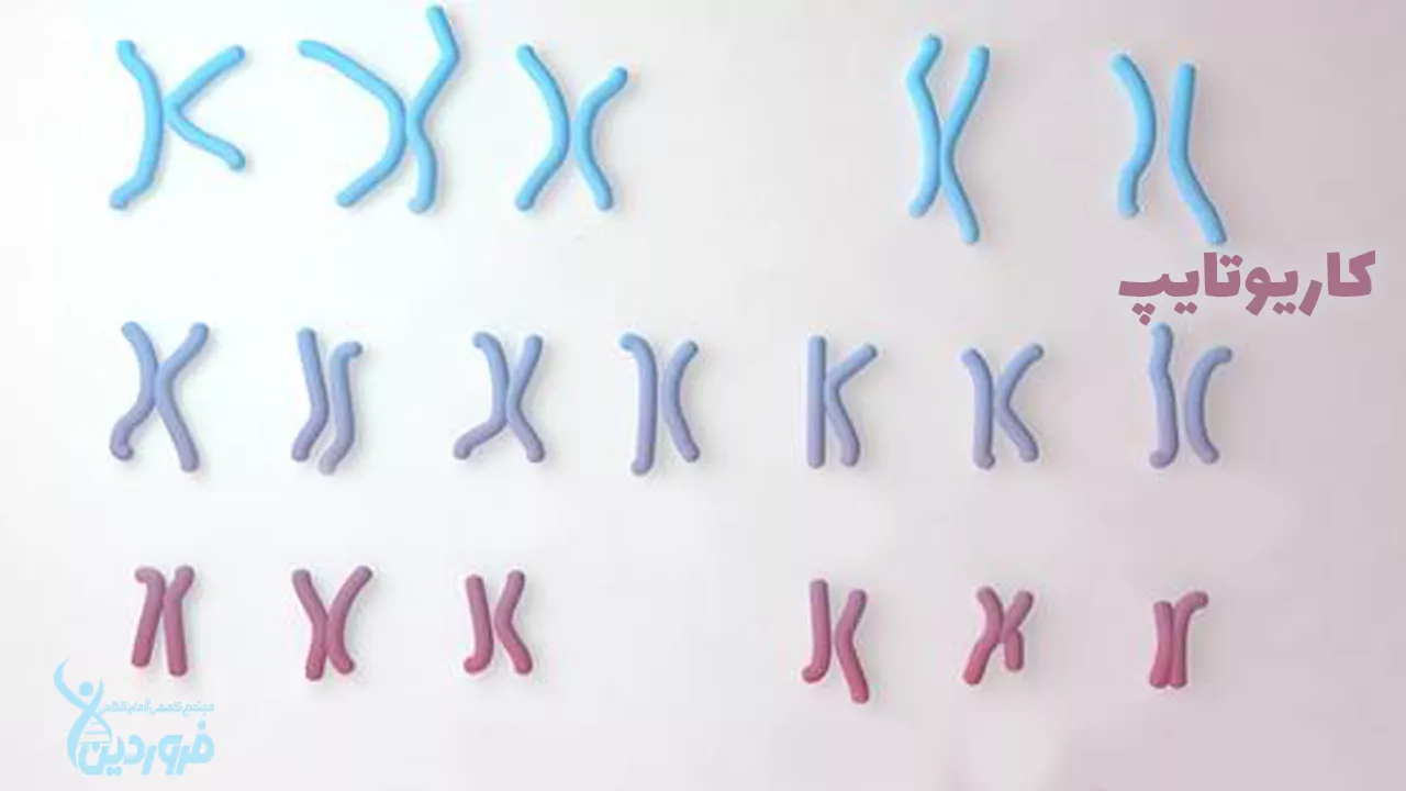 کاریوتایپ آزمایشگاه فروردین