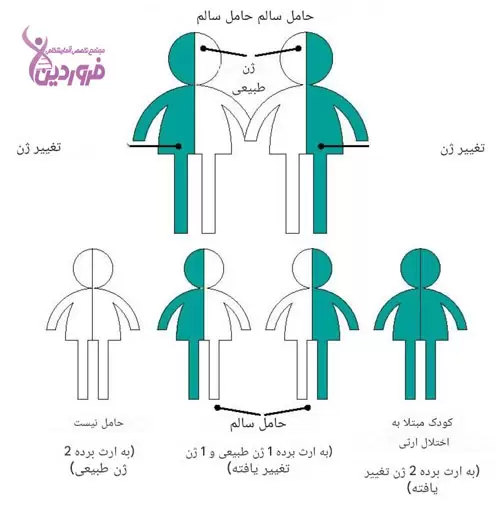 ژن معیوب و ازدواج فامیلی