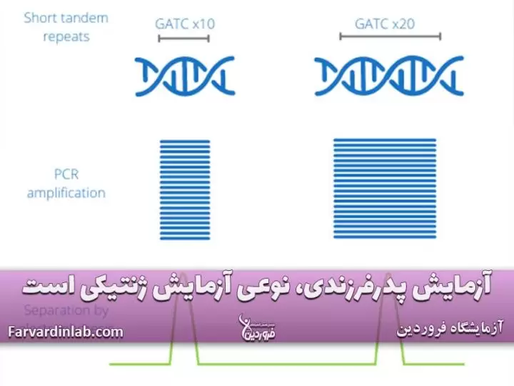 آزمایش ژنتیک پدرفرزندی