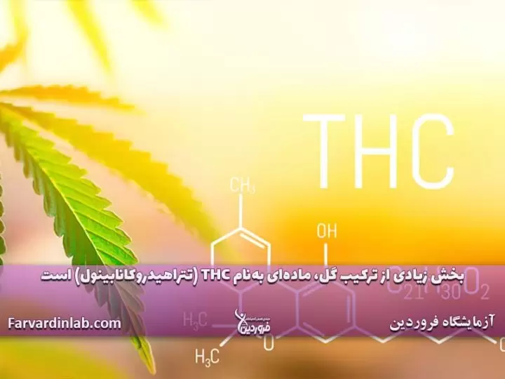 مصرف ماریجوانا