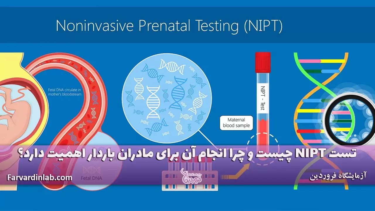 تست NIPT چیست